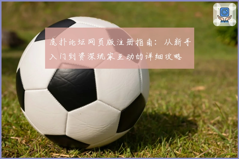 虎扑论坛网页版注册指南：从新手入门到资深玩家互动的详细攻略