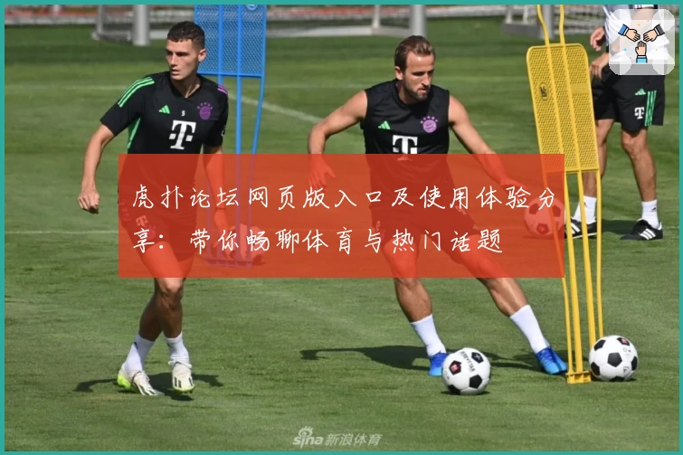 虎扑论坛网页版入口及使用体验分享：带你畅聊体育与热门话题